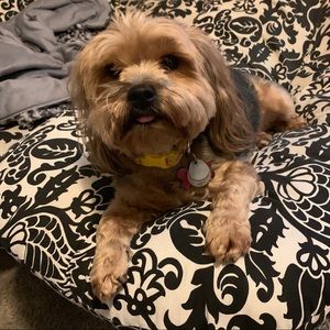 Meet your Posher, Joelle